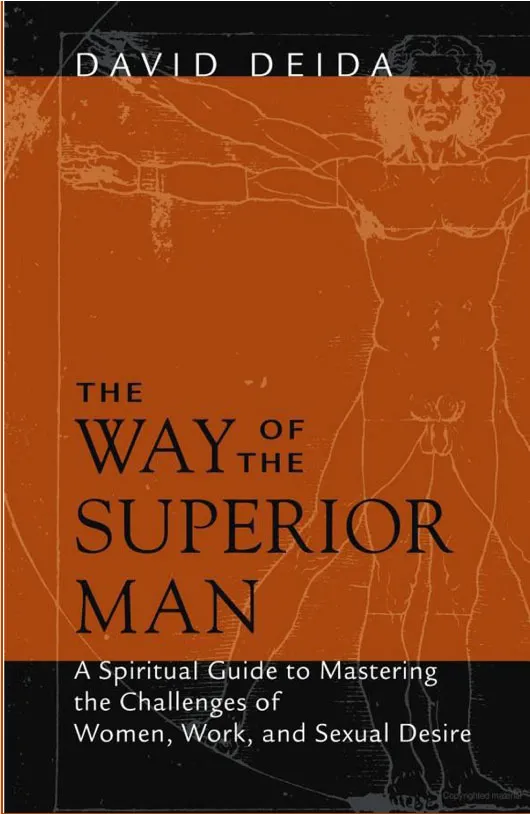 The Way of the Superior Man by David Deida.webp