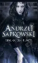 Time of Contempt by Andrzej Sapkowski.webp