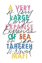 A Very Large Expanse of Sea by Tahereh Mafi.webp