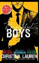 Beautiful Boys by Christina Lauren.webp