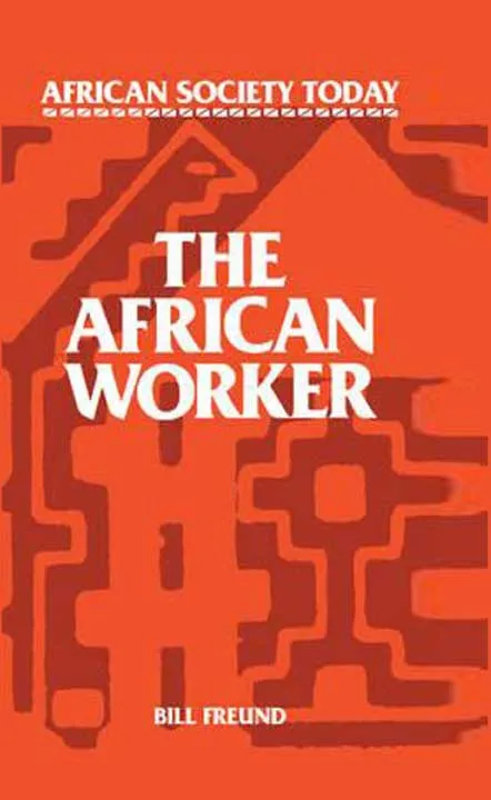 The African Worker by Bill Freund.webp