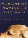 The Art Of Racing In The Rain by Garth Stein.webp