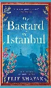 The Bastard of Istanbul by Elif Shafak.webp