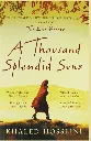 A Thousand Splendid Suns by The Kite Runner