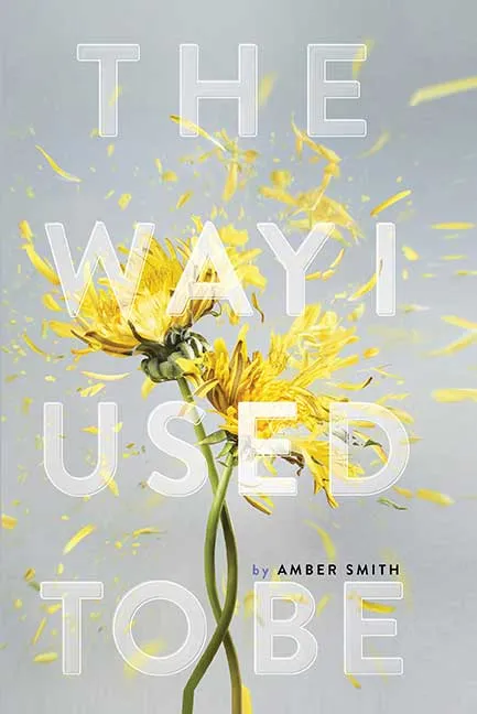 The Way I Used to Be by Amber Smith