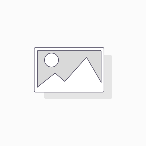 Department of Marketing, Honours 1st Year, NU - Business Environment and Sustainability